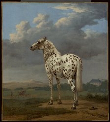 The Piebald Horse, about 1650-1654. Creator: Paulus Potter.