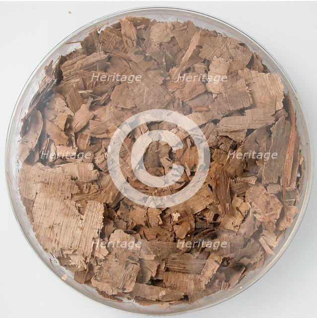 Papyri Fragments, Coptic, 7th century. Creator: Unknown.