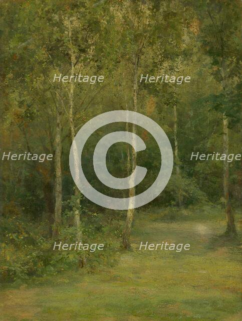 Wooded Landscape with Little Birches, 1894-1896. Creator: Ludovit Cordak.