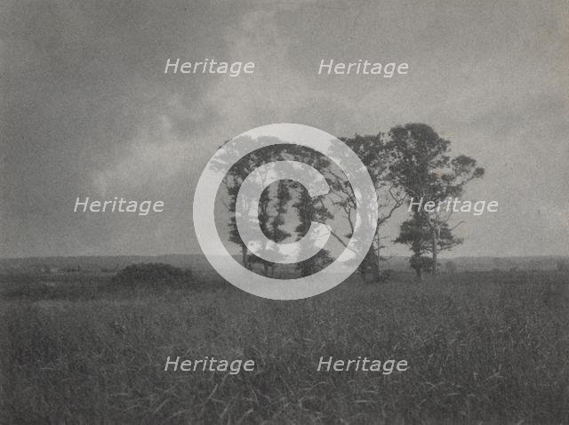 Untitled, c. 1900. Creator: William J. Mullins (American, 1860-1917).