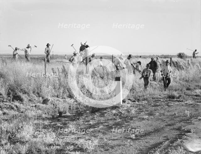 Migratory agricultural workers - cotton hoers, near Los Banos, California, 1939. Creator: Dorothea Lange.