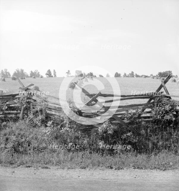 Virginia wheat field, 1936. Creator: Dorothea Lange.