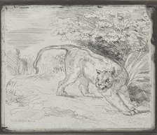 A Trapped Tiger, 1854. Creator: Eugène Delacroix (French, 1798-1863).