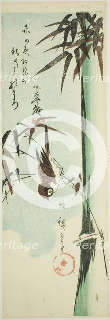 Sparrow and bamboo, c. 1843/47. Creator: Ando Hiroshige.