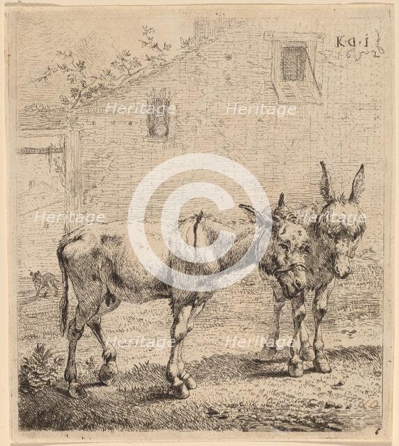 Two Asses, 1652. Creator: Karel Du Jardin.