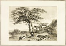 Cedars of Lebanon, from The Park and the Forest, 1841. Creator: James Duffield Harding.