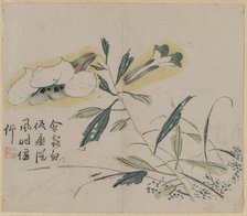 Flowering Lily, 18th Century. Creator: Unknown.