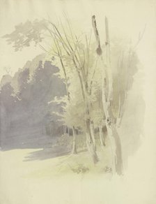 Edge of a wood, c1853. Creator: Carl Theodor Reiffenstein.