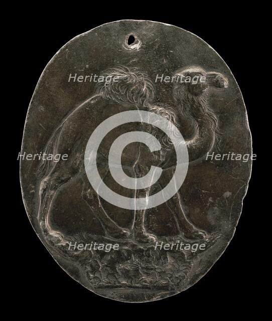 Arabian Camel (or Dromedary), c. 1570s/1580s. Creator: Antonio Abondio.