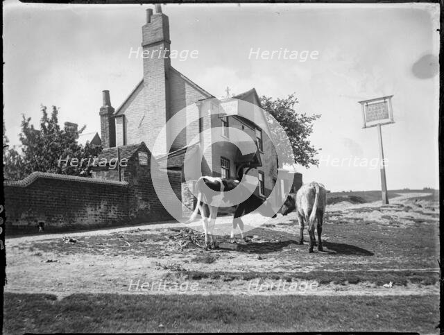 The Black Horse, Chorleywood Common, Chorleywood, Three Rivers, Hertfordshire, 1915. Creator: Katherine Jean Macfee.