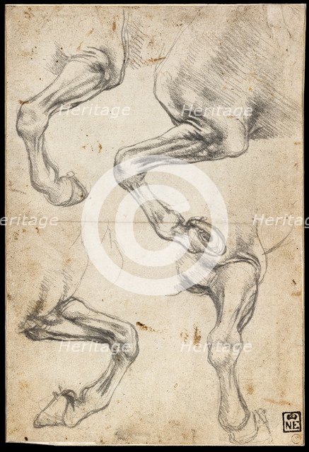 Studies of Horse's Leg. Artist: Leonardo da Vinci (1452-1519)