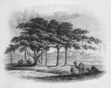 'Runjeet Singh's Encampment at Roopur', 1845. Creator: Unknown.