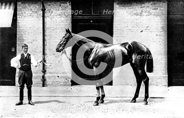The Winner of the Derby: Lord Rosebery's Sir Visto, 1895. Creator: Clarence Hailey.