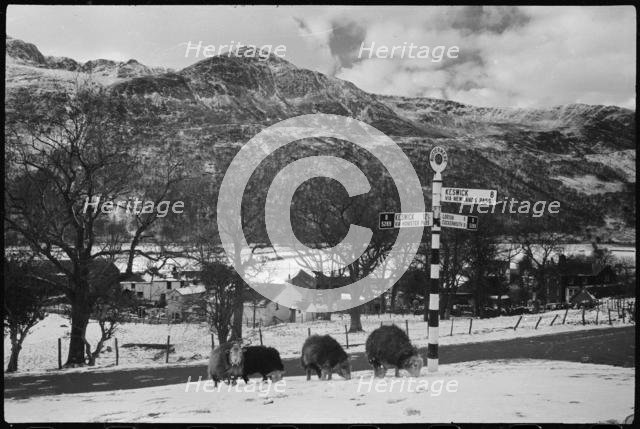 Buttermere, Cumbria, c1955-c1980. Creator: Ursula Clark.