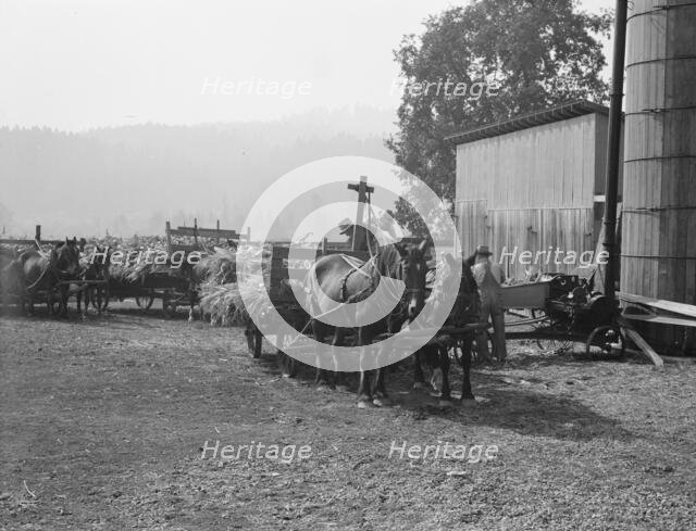 Each farmer brings his own wagon and team for the day's work, near West Carlton, Oregon, 1939. Creator: Dorothea Lange.