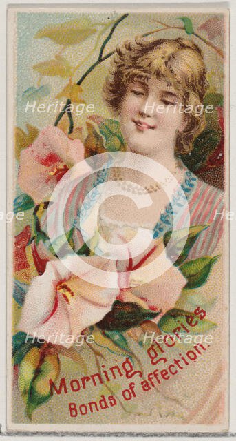 Morning Glories: Bonds of Affection, from the series Floral Beauties and Language of Flowe..., 1892. Creator: Donaldson Brothers.