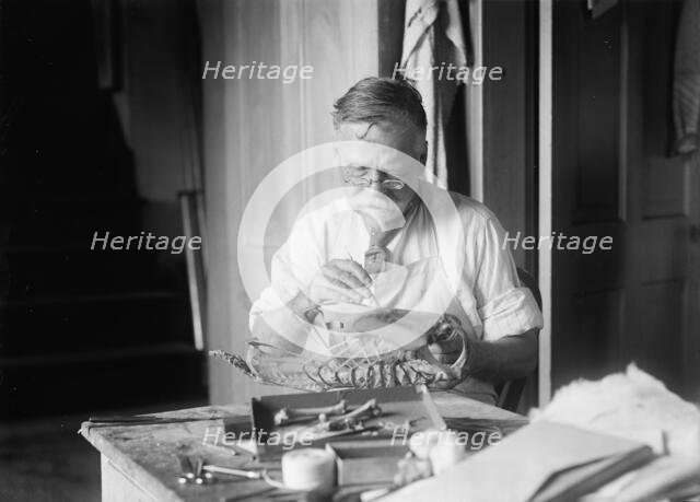 J. W. Scollick of Smithsonian Institute, 1916. Creator: Harris & Ewing.