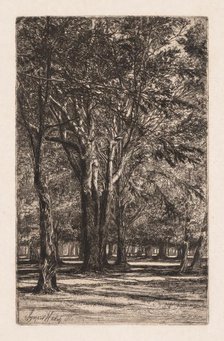 Kensington Gardens, No. 2 (The Larger Plate), 1860. Creator: Francis Seymour Haden (British, 1818-1910).