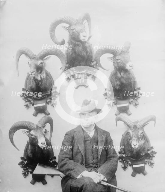 Walter Winans [with Mt. Sheep head trophies], between c1910 and c1915. Creator: Bain News Service.