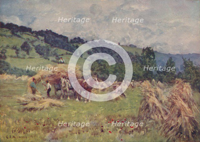 'A Cornfield', 1910. Artist: George F Nicholls.