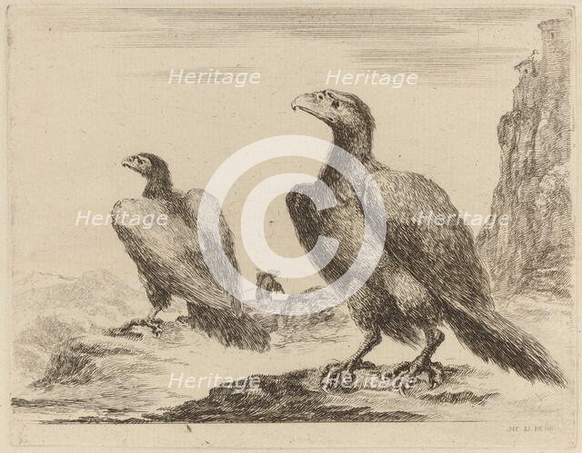 Two Eagles, Both with Heads Turned to the Left, On a High Cliff. Creator: Stefano della Bella.