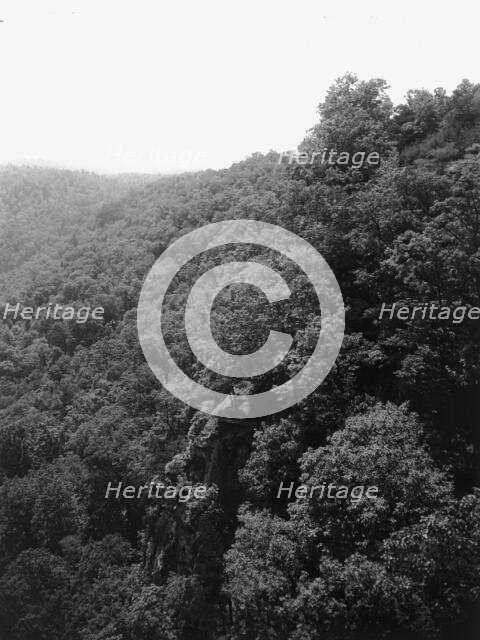 Mountainside with trees, between 1900 and 1920. Creator: Unknown.