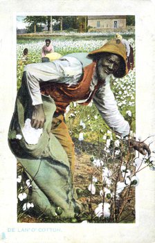 Picking cotton, USA, postcard, c1900. Artist: Unknown