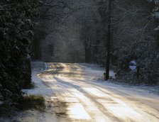 Sun glinting off an icy road in the New Forest 2009 Artist: Unknown.