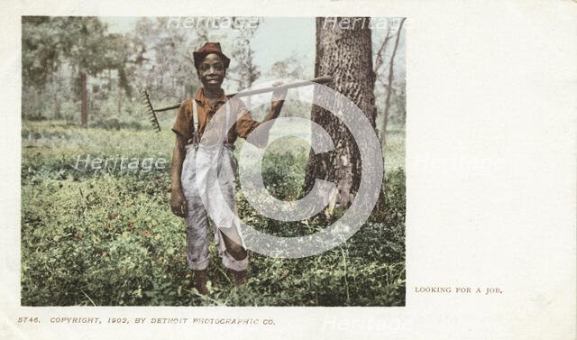 Looking for a Job, 1900 - 1902. Creator: Detroit Publishing Company.