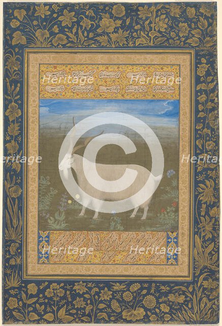 Portrait of a Ladakhi Mountain Goat, about 1600. Creator: Unknown.