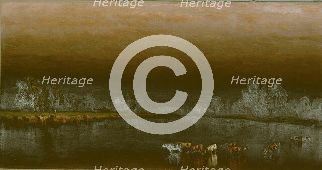 Cows in a Pond at Sunset, 1860. Creator: Sanford Robinson Gifford.