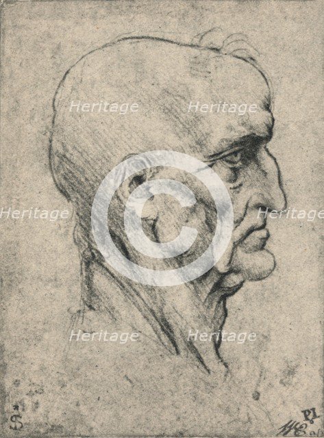'Profile to the Right of an Elderly Bald Man, c1480 (1945). Artist: Leonardo da Vinci.