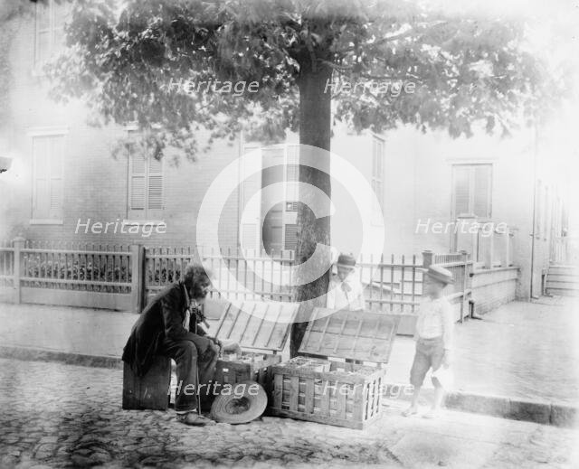 Old African-American man selling strawberries on street, Washington, D.C. - two small..., c1900. Creator: Frances Benjamin Johnston.