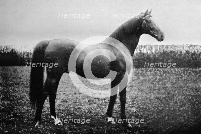 'Florizel II', 1911. Artist: Unknown.