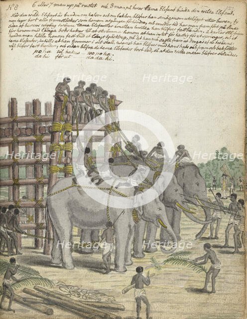 A Bound Elephant being led from the Last Section of the trap, the Prison Corral, 1785. Creator: Jan Brandes.