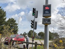 Pedestrian with dog using pelican crossing on road at Dibden Purlieu, Hampshire 2016. Creator: Unknown.