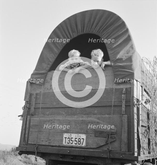 Just arrived from Kansas, near Merrill, Klamath County, Oregon, 1939. Creator: Dorothea Lange.
