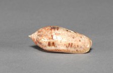 Offering Group: Small Shell, c. 800-1200(?). Creator: Unknown.