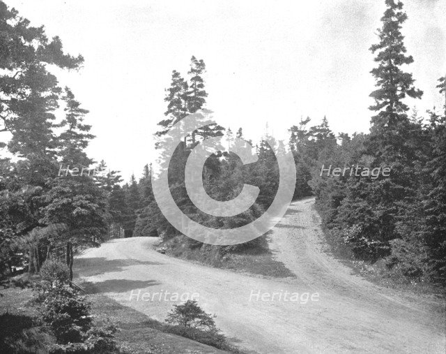 Point Pleasant Park, Halifax, Nova Scotia, Canada, c1900. Creator: Unknown.