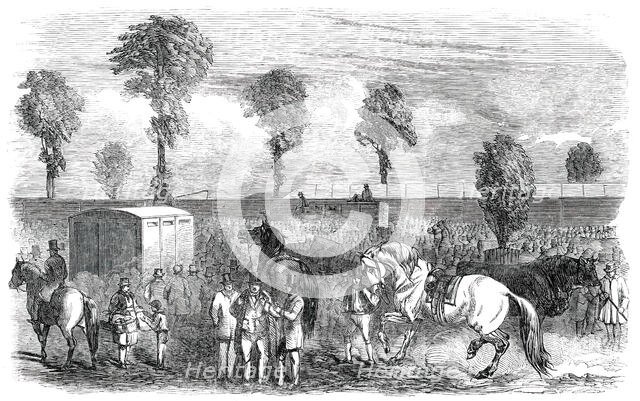 Royal Agricultural Society of England - Twelfth Annual Meeting and Exhibition, 1850. Creator: Unknown.