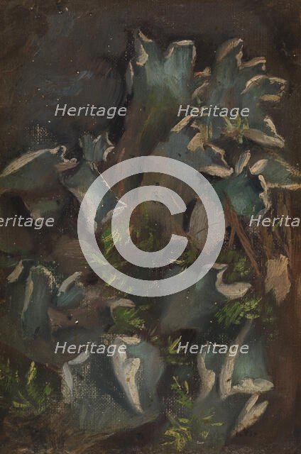 Lichen, sketch for the painting Fairy Tale Princess, c1895-1896. Creator: Torsten Wasastjerna.