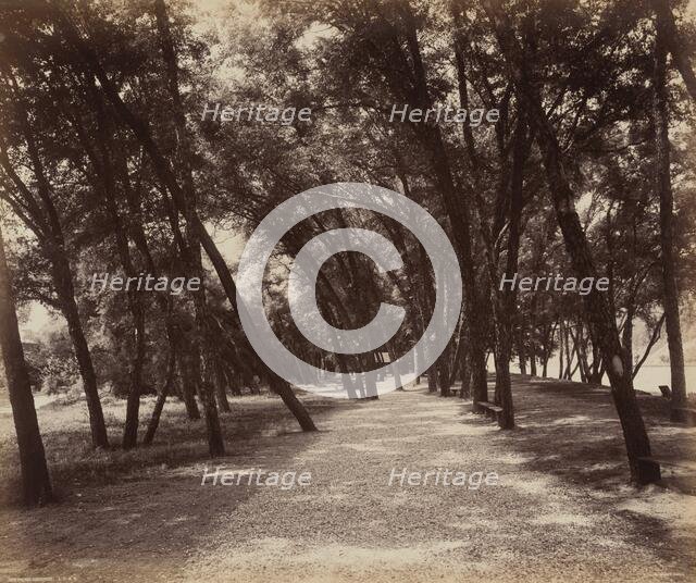 Picnic Grounds, c. 1895. Creator: William H Rau.
