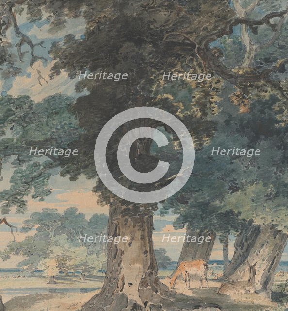 Deer in Windsor Forest, 1793-94. Creator: Thomas Girtin.
