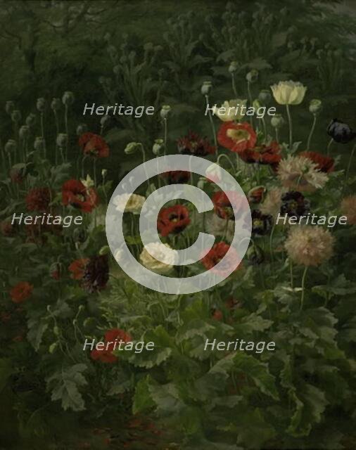 Poppies, 1892. Creator: Anthonie Leonore Christensen.