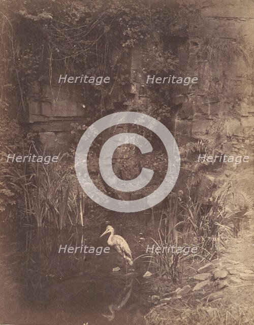 Piscator, No. 2, 1856. Creator: John Dillwyn Llewelyn.