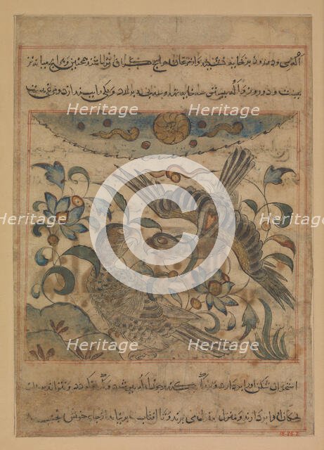 Pair of Eagles, Folio from a Manafi' al-hayawan (On the Usefulness of Animals)..., ca. 1300. Creator: Ibn Bakhtishu.