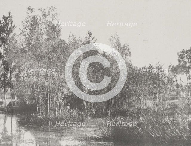 A Marsh, c1852. Creator: Adalbert Cuvelier.