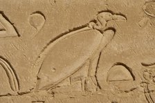 Vulture relief, Temple of Horus, Edfu, Egypt, 3rd century BC (2003). Creator: Unknown.