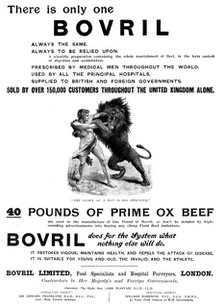 Advertisement for Bovril, 1898. Creator: Unknown.