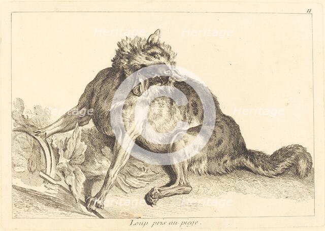 Loup pris au piege (Wolf Caught in a Trap). Creator: Jacques Philippe Le Bas.